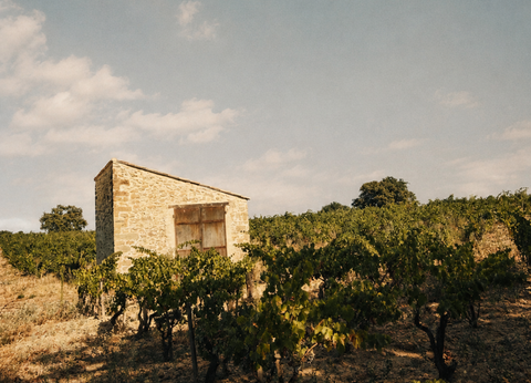 Le Domaine : Créer avec le vivant