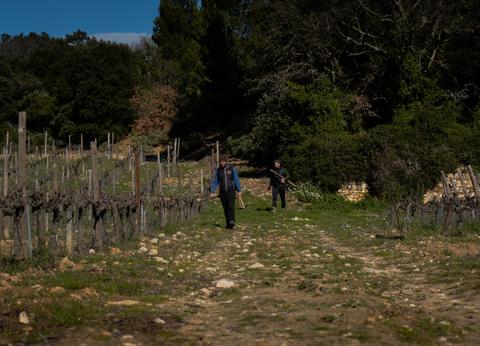 Dialoguer avec les vignes : Genodics