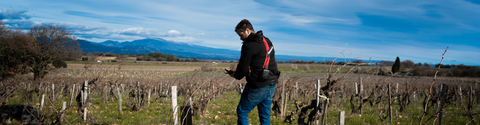 Côtes-du-Rhône