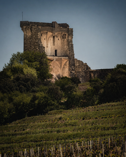 Châteauneuf-du-pape