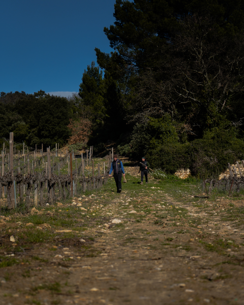 Vins de France