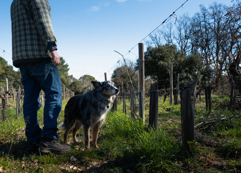 Clos du Mont-Olivet